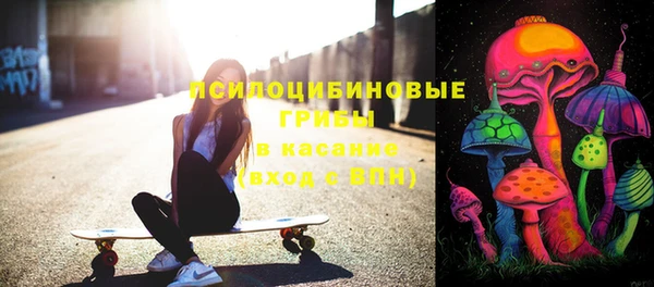 стаф Абаза