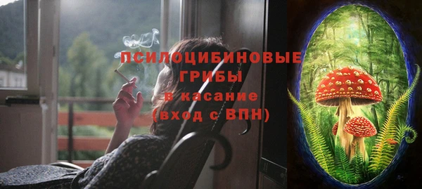 стаф Абаза
