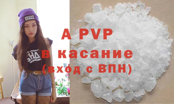 стаф Абаза